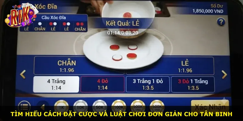 Tìm hiểu cách đặt cược và luật chơi đơn giản cho tân binh