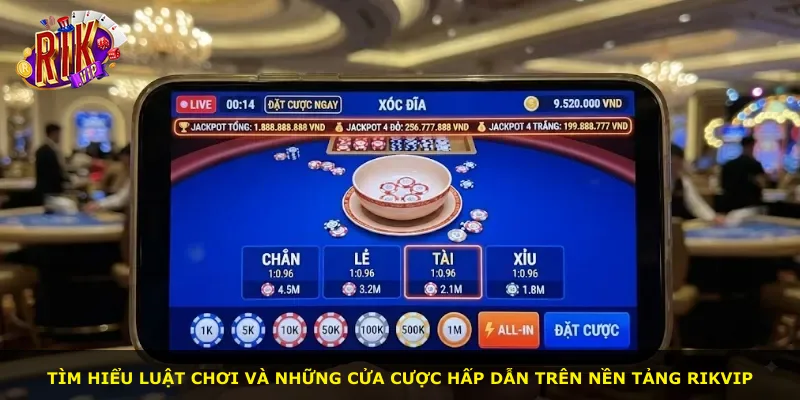 Tìm hiểu luật chơi và những cửa cược hấp dẫn trên nền tảng Rikvip